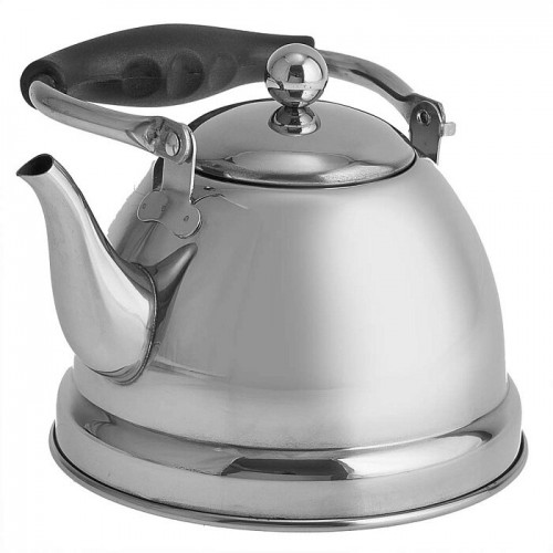 Чайник из нержавеющей стали Alpenkok AK-542 1 л (серебристый) 2