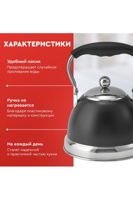 Чайник из нержавеющей стали Alpenkok AK-543 1 л (черный) 3