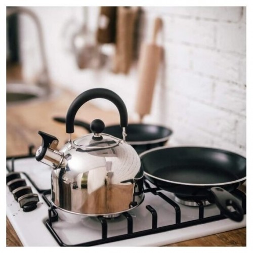 Чайник из нержавеющей стали HITT Standard 2.5 л (серебристый) 2