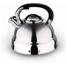 Чайник из нержавеющей стали Kelli KL-4512 5 л (серебристый)