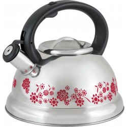 Чайник из нержавеющей стали Mallony MAL-0417B 3 л (серебристый с рисунком, меняющим цвет)