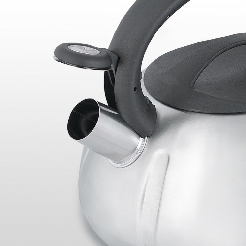 Чайник из нержавеющей стали Mallony MAL-066 (910086) 3 л (серебристый) 4