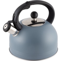 Чайник из нержавеющей стали Mallony Mentolo 985616 2.5 л (мятный)