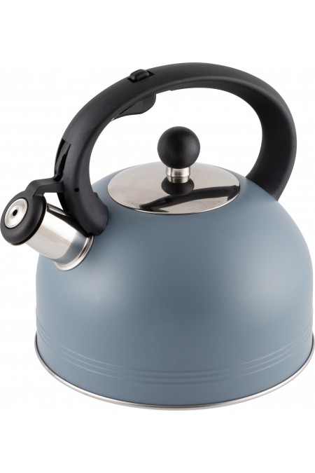 Чайник из нержавеющей стали Mallony Mentolo 985616 2.5 л (мятный) 