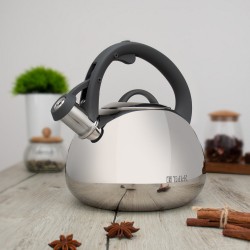 Чайник из нержавеющей стали TalleR Брэндон TR-11372 2.8 л (серебристый)