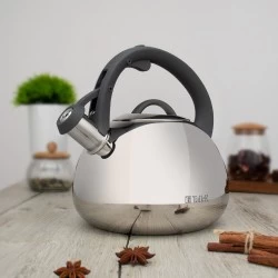 Чайник из нержавеющей стали TalleR Брэндон TR-11372 2.8 л (серебристый)