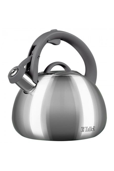 Чайник из нержавеющей стали TalleR Брэндон TR-11372 2.8 л (серебристый) 