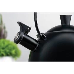 Чайник из нержавеющей стали TalleR Томас TR-11379 2.5 л (черный)