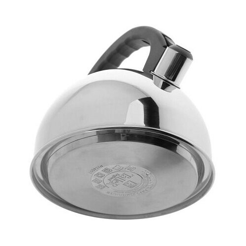 Чайник из нержавеющей стали TalleR TR-11338 2.5 л (серебристый) 2