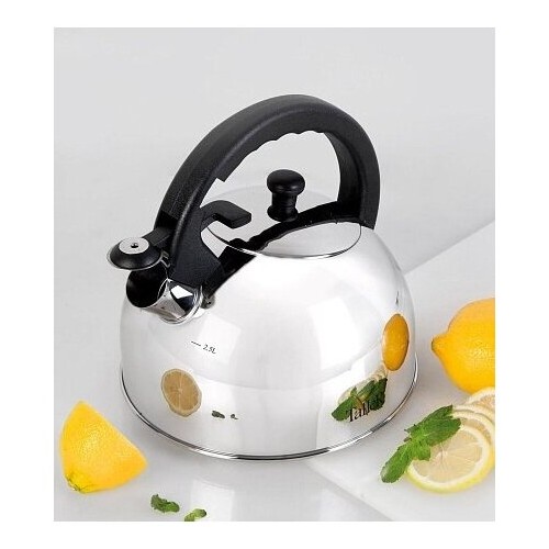 Чайник из нержавеющей стали TalleR TR-11338 2.5 л (серебристый) 3
