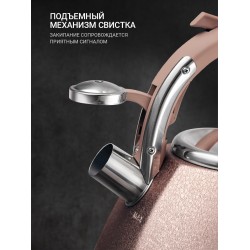 Чайник из нержавеющей стали TalleR TR-11354 3 л (айгрет)