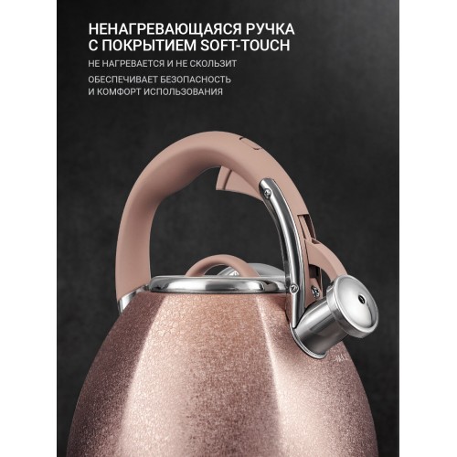 Чайник из нержавеющей стали TalleR TR-11354 3 л (айгрет) 8