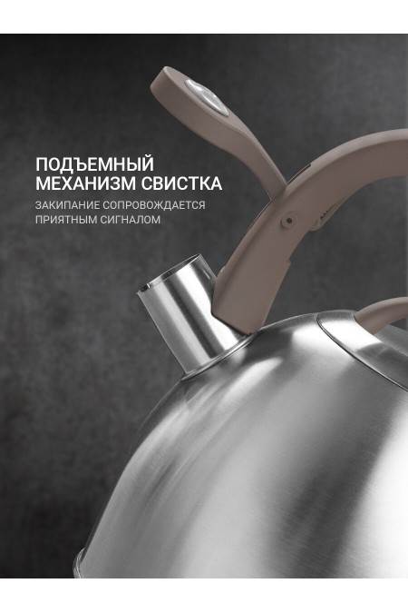 Чайник из нержавеющей стали TalleR TR-11356 2.5 л (серебристый) 2