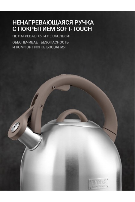Чайник из нержавеющей стали TalleR TR-11356 2.5 л (серебристый) 3