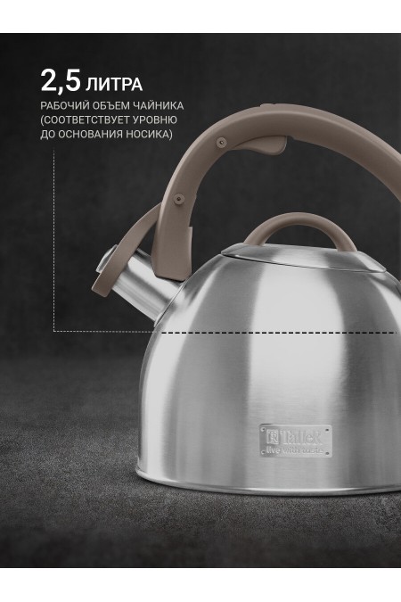 Чайник из нержавеющей стали TalleR TR-11356 2.5 л (серебристый) 4