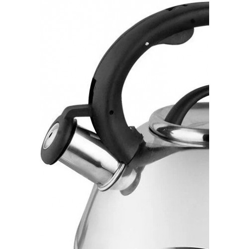 Чайник из нержавеющей стали Webber BE-0524 3 л (серебристый) 9