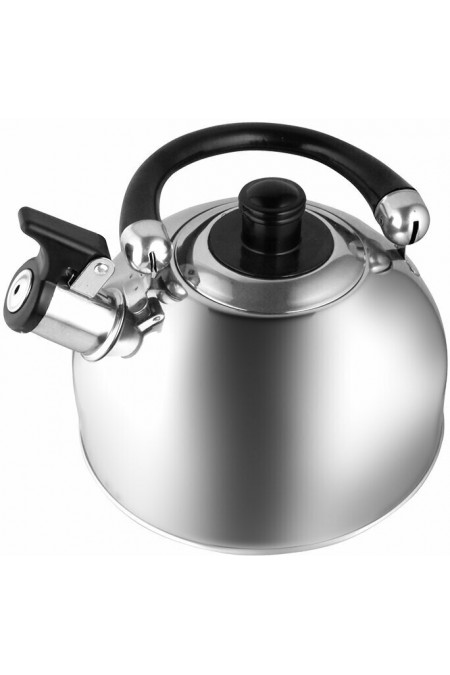 Чайник из нержавеющей стали Webber BE-0526 2,5 л (серебристый) 