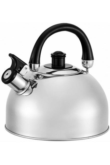 Чайник из нержавеющей стали Webber BE-0526 2,5 л (серебристый) 1