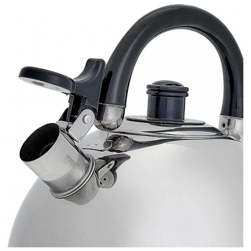 Чайник из нержавеющей стали Webber BE-0526 2,5 л (серебристый) 4