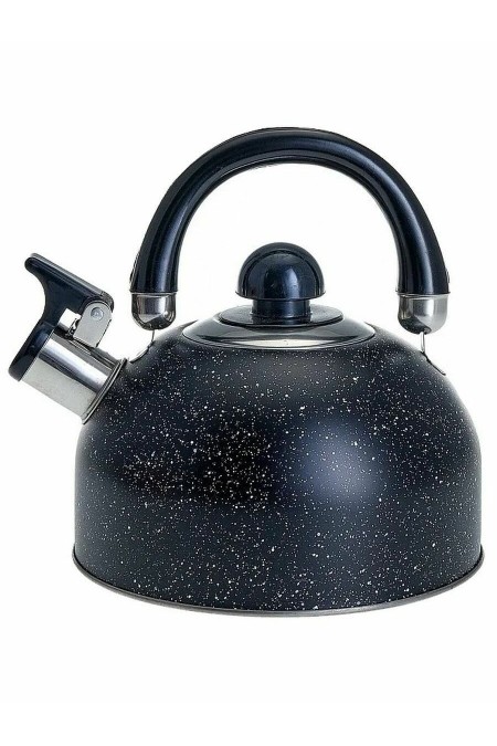 Чайник из нержавеющей стали Webber BE-0539 2,5 л (черный) 1