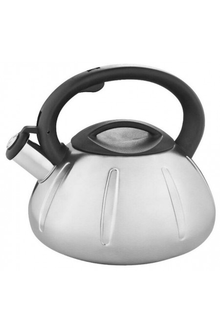 Чайник из нержавеющей стали Webber BE-0569 3 л, (серебристый) 