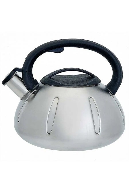 Чайник из нержавеющей стали Webber BE-0569 3 л, (серебристый) 4