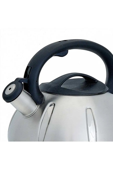 Чайник из нержавеющей стали Webber BE-0569 3 л, (серебристый) 5