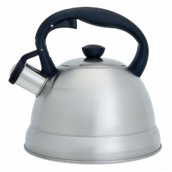 Чайник из нержавеющей стали Webber BE-0577 2 л (серебристый)