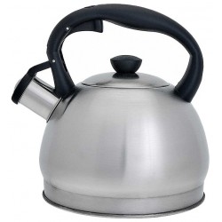 Чайник из нержавеющей стали Webber BE-0578 2 л (серебристый)