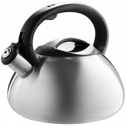 Чайник из нержавеющей стали Webber BE-0587 3 л (серебристый)