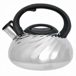 Чайник из нержавеющей стали Webber BE-0590 3 л (серебристый)