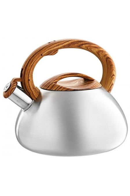 Чайник из нержавеющей стали Webber BE-0593 3 л (серебристый) 