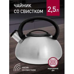 Чайник из нержавеющей стали Webber BE-0599 2.5 л (серебристый)