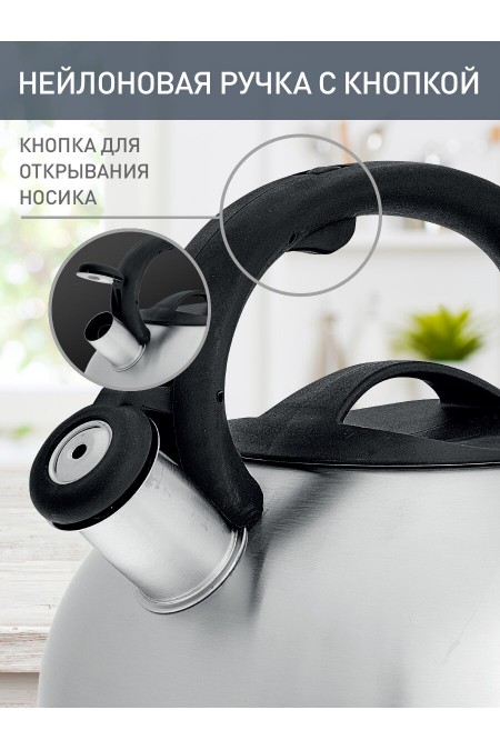 Чайник из нержавеющей стали Webber BE-0599 2.5 л (серебристый) 1