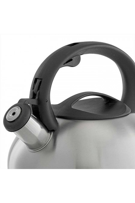 Чайник из нержавеющей стали Webber BE-0599 2.5 л (серебристый) 6