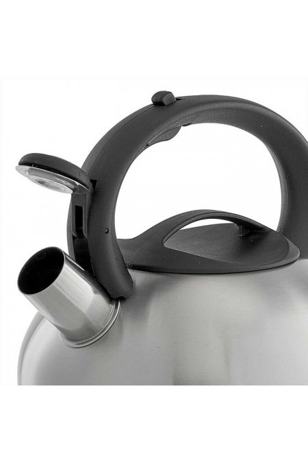 Чайник из нержавеющей стали Webber BE-0599 2.5 л (серебристый) 7