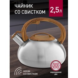 Чайник из нержавеющей стали Webber BE-0600 2.5 л (серебристый)
