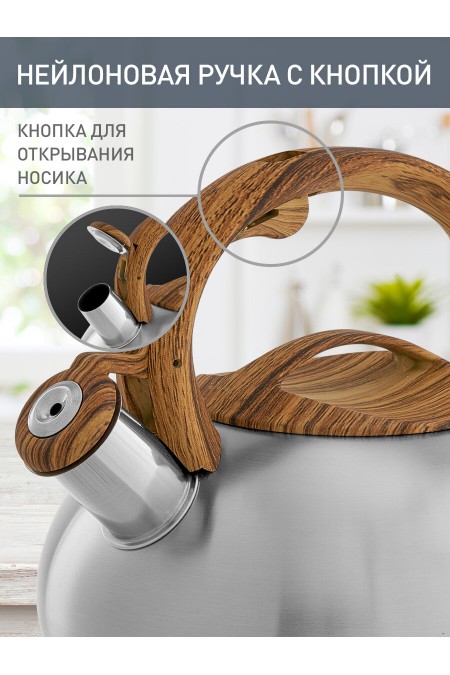 Чайник из нержавеющей стали Webber BE-0600 2.5 л (серебристый) 1