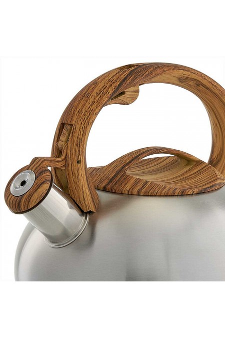 Чайник из нержавеющей стали Webber BE-0600 2.5 л (серебристый) 6