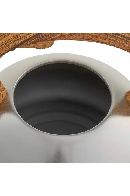 Чайник из нержавеющей стали Webber BE-0600 2.5 л (серебристый) 8