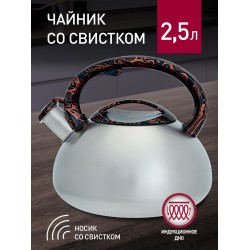 Чайник из нержавеющей стали Webber BE-0601 2.5 л (серебристый)
