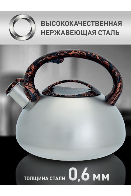 Чайник из нержавеющей стали Webber BE-0601 2.5 л (серебристый) 2