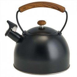 Чайник из нержавеющей стали Webber BE-0603 2.5 л (черный)