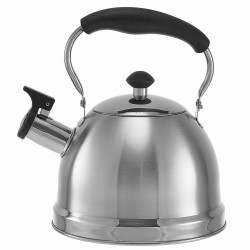 Чайник из нержавеющей стали Webber BE-0606 2.5 л (серебристый)