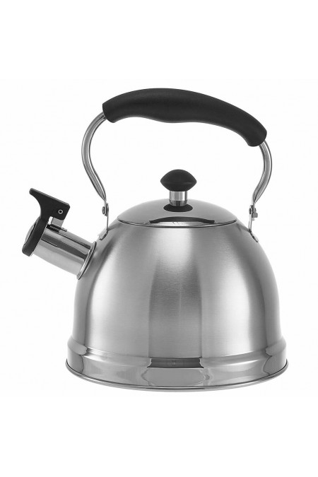 Чайник из нержавеющей стали Webber BE-0606 2.5 л (серебристый) 