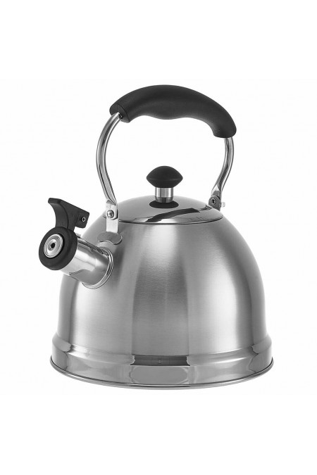 Чайник из нержавеющей стали Webber BE-0606 2.5 л (серебристый) 1