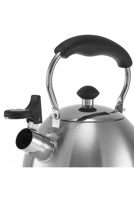 Чайник из нержавеющей стали Webber BE-0606 2.5 л (серебристый) 2