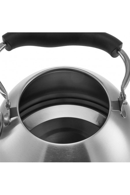 Чайник из нержавеющей стали Webber BE-0606 2.5 л (серебристый) 3