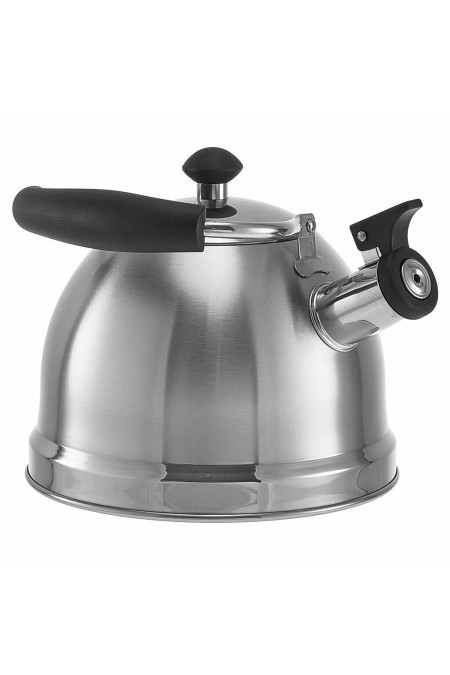 Чайник из нержавеющей стали Webber BE-0606 2.5 л (серебристый) 4