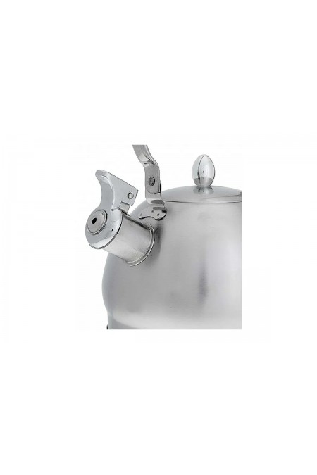 Чайник из нержавеющей стали Webber ВЕ-0560 2 л (серебристый) 2